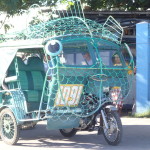 サカナ君もギョうてんドマゲティのサカナシクル