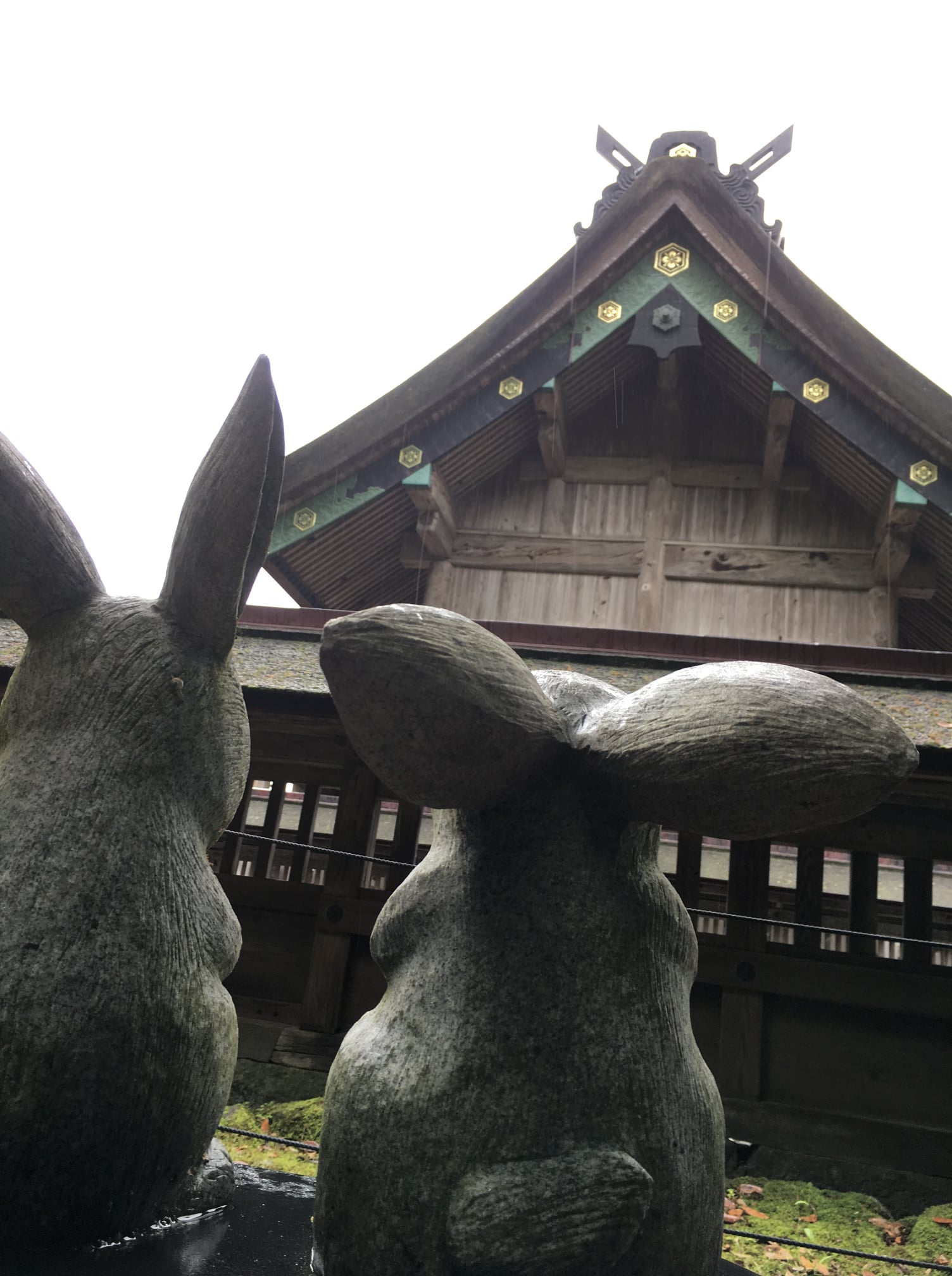 2年ぶりの日本帰国旅ー日本の今と過去と未来を見る
