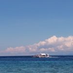 自然という最高の教室へ|2026年春、26年の経験を持つガイドが贈る「一生モノのドゥマゲッティ体験」