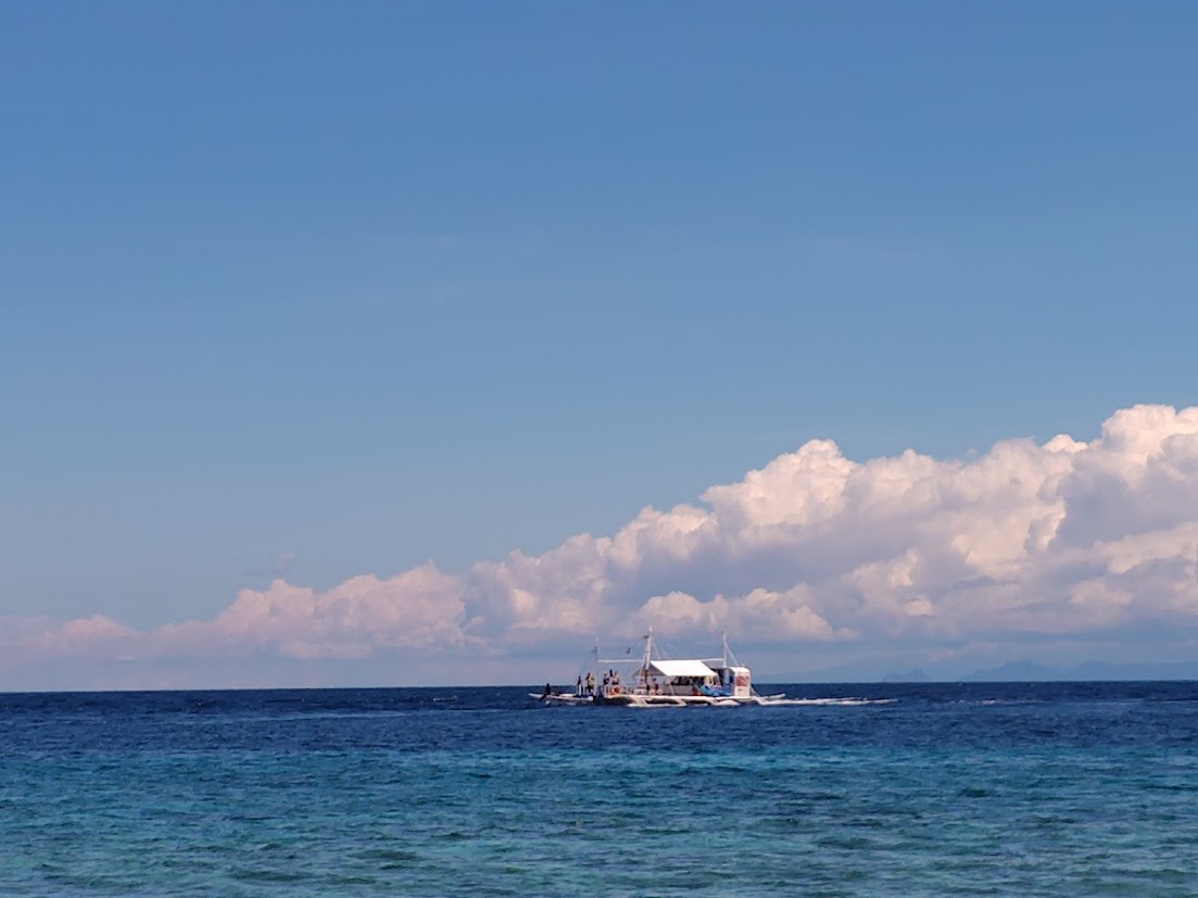 自然という最高の教室へ|2026年春、26年の経験を持つガイドが贈る「一生モノのドゥマゲッティ体験」 自然という最高の教室へ|2026年春、26年の経験を持つガイドが贈る「一生モノのドゥマゲッティ体験」